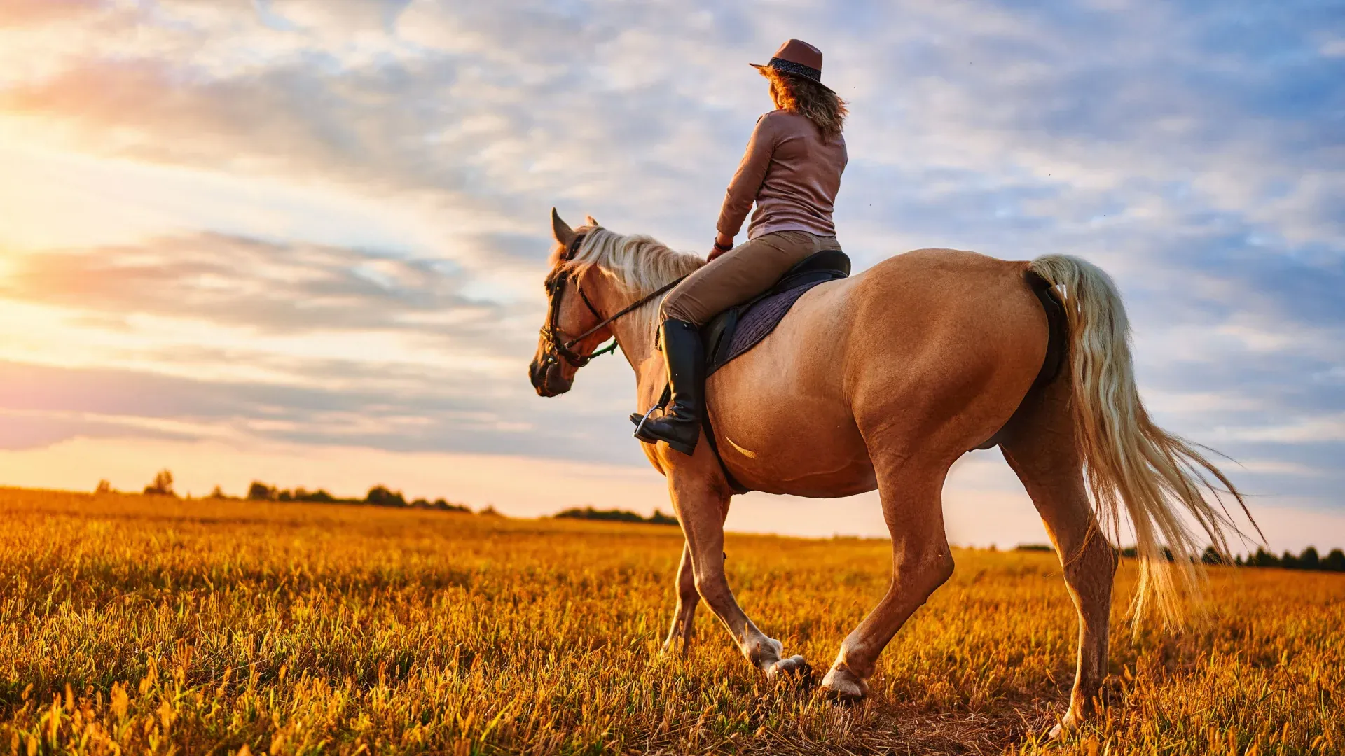 Верховая езда